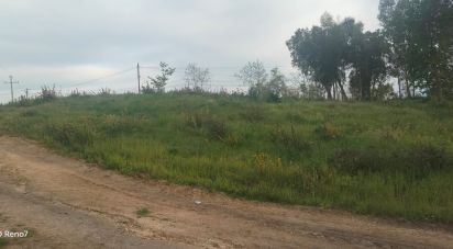 Terrain à bâtir à Santo isidoro e livração de 4 200 m²