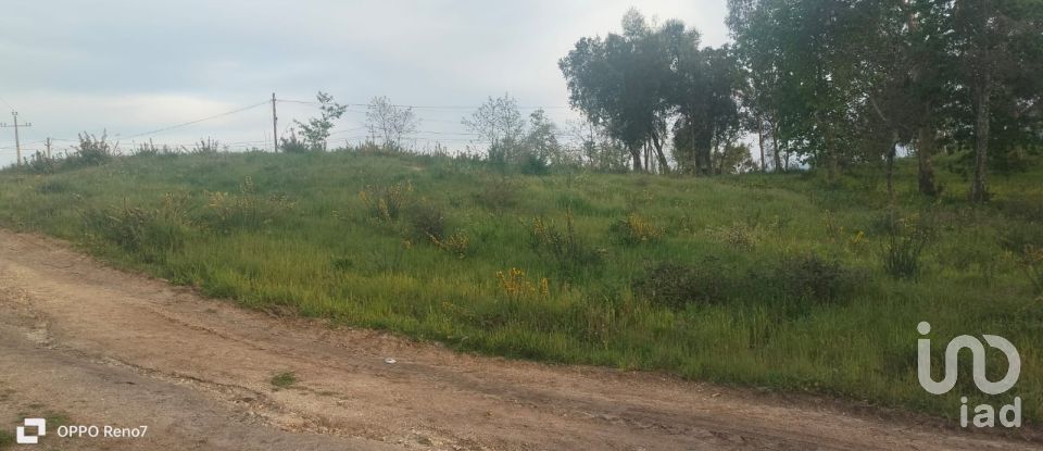 Building plot in Santo isidoro e livração of 4,200 m²