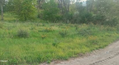 Terrain à bâtir à Santo isidoro e livração de 4 200 m²