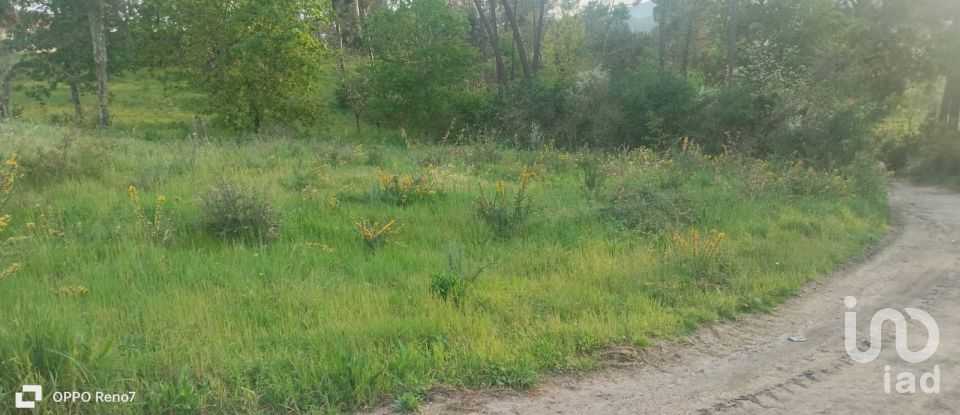 Building plot in Santo isidoro e livração of 4,200 m²