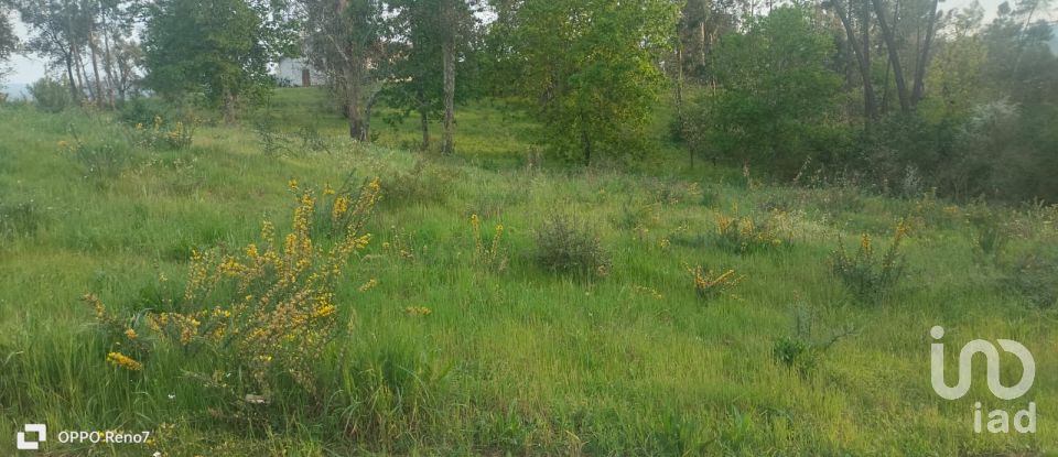 Building plot in Santo isidoro e livração of 4,200 m²