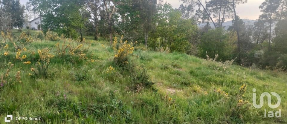 Building plot in Santo isidoro e livração of 4,200 m²