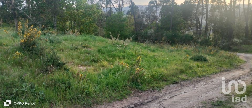 Building plot in Santo isidoro e livração of 4,200 m²