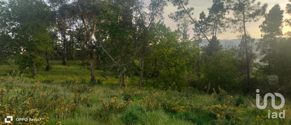 Building plot in Santo isidoro e livração of 4,200 m²