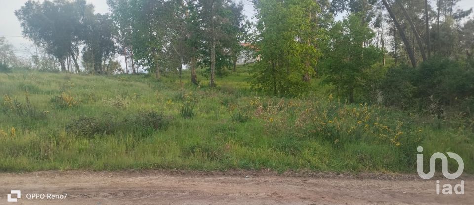 Building plot in Santo isidoro e livração of 4,200 m²