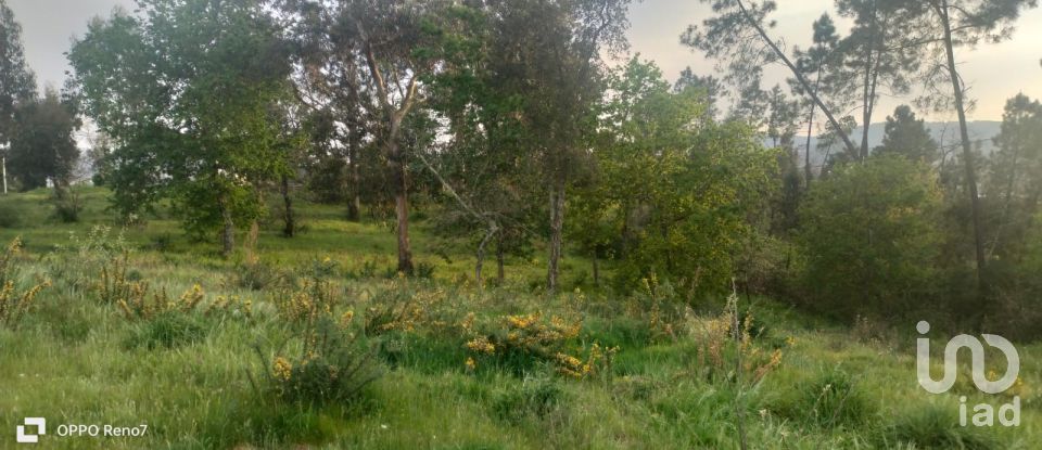 Building plot in Santo isidoro e livração of 4,200 m²