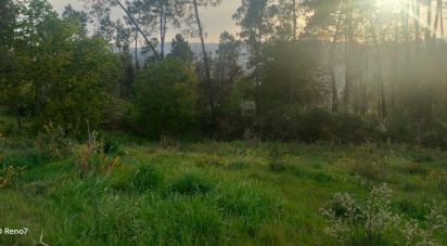 Terrain à bâtir à Santo isidoro e livração de 4 200 m²