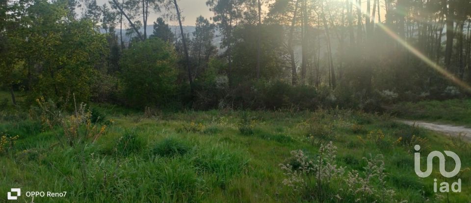 Building plot in Santo isidoro e livração of 4,200 m²