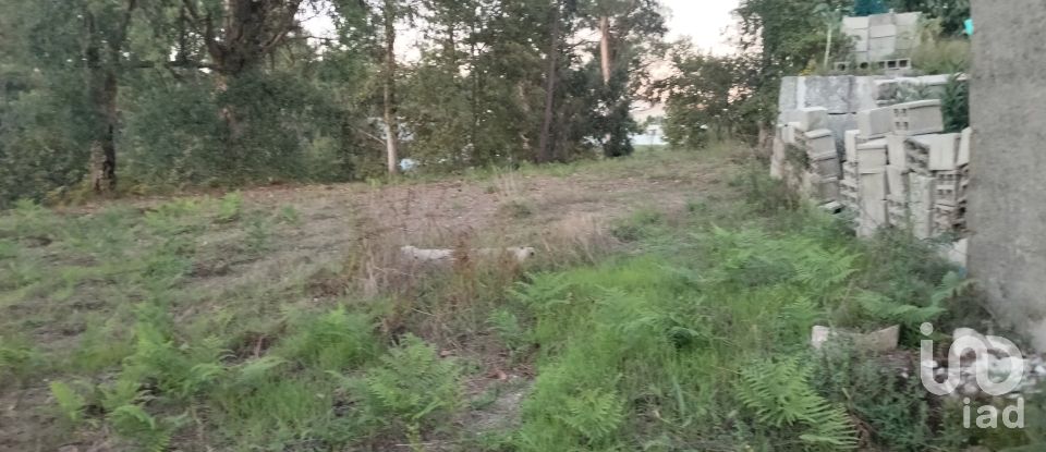 Building plot in Santo isidoro e livração of 4,200 m²