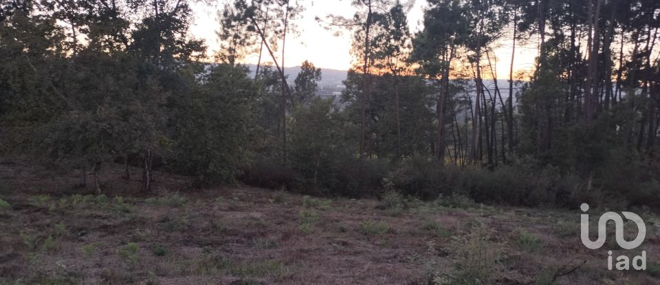 Building plot in Santo isidoro e livração of 4,200 m²