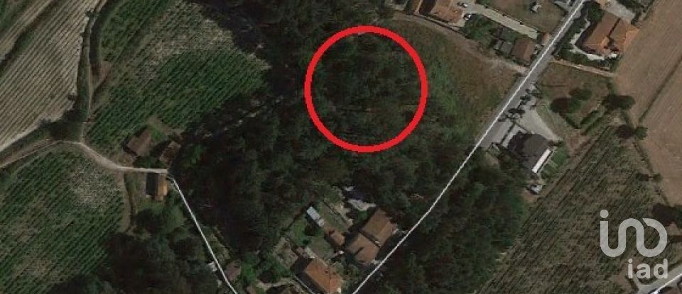 Building plot in Santo isidoro e livração of 4,200 m²