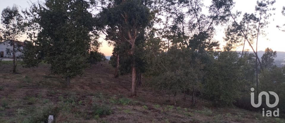 Building plot in Santo isidoro e livração of 4,200 m²