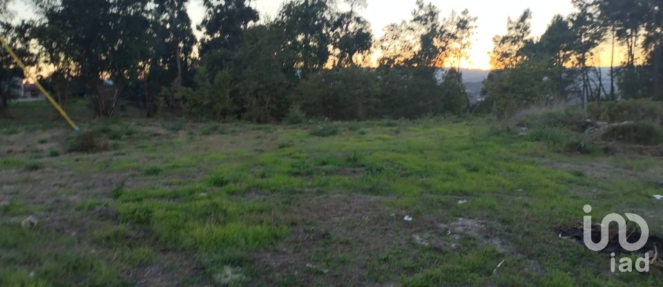 Building plot in Santo isidoro e livração of 4,200 m²