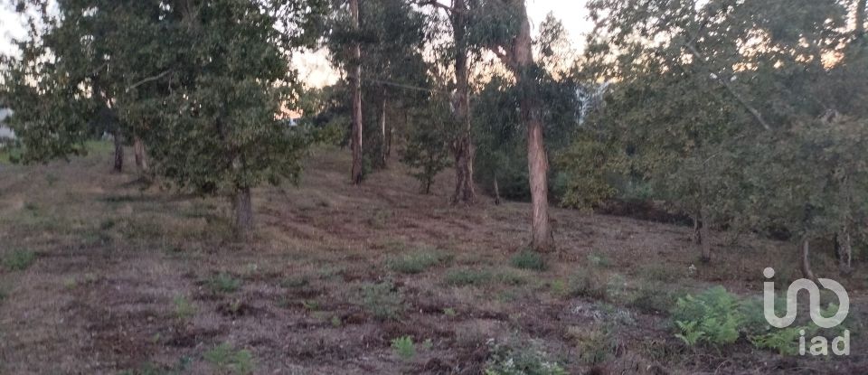 Building plot in Santo isidoro e livração of 4,200 m²