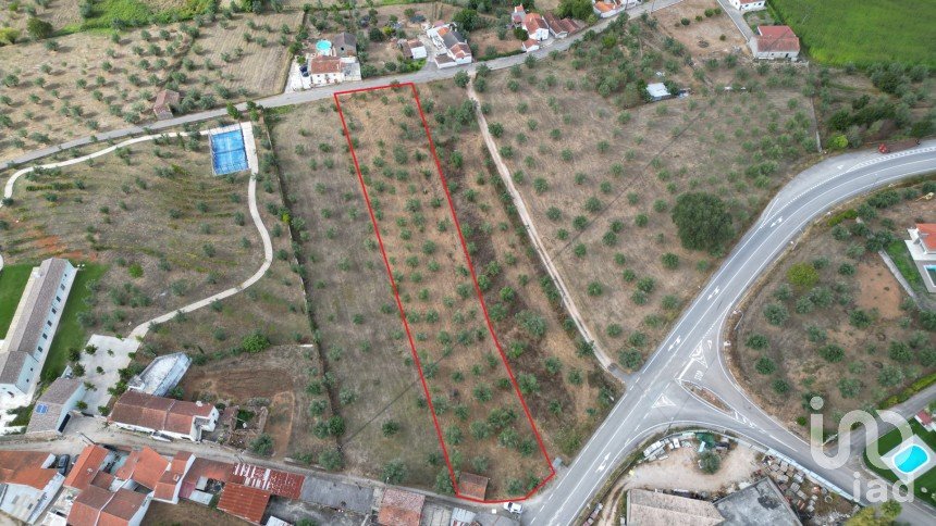 Terrain à bâtir à São Miguel, Santa Eufémia e Rabaçal de 3 186 m²