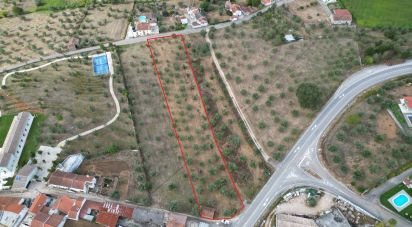Terrain à bâtir à São Miguel, Santa Eufémia e Rabaçal de 3 186 m²
