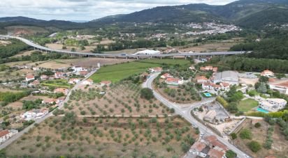 Terrain à bâtir à São Miguel, Santa Eufémia e Rabaçal de 3 186 m²