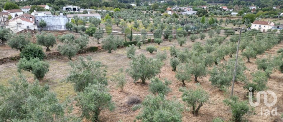 Terrain à bâtir à São Miguel, Santa Eufémia e Rabaçal de 3 186 m²