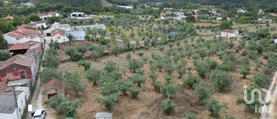 Terrain à bâtir à São Miguel, Santa Eufémia e Rabaçal de 3 186 m²