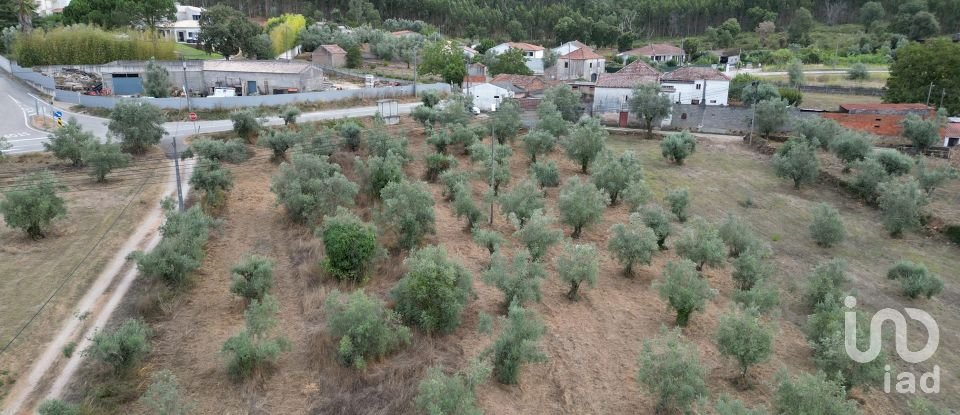 Terrain à bâtir à São Miguel, Santa Eufémia e Rabaçal de 3 186 m²