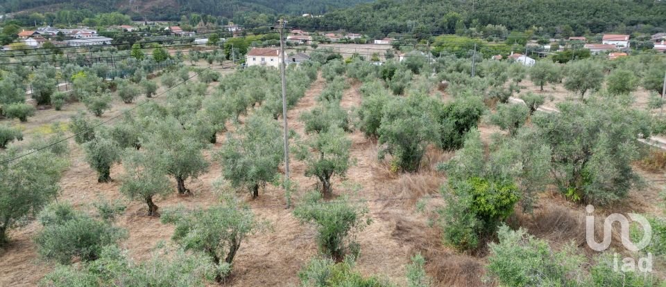Terrain à bâtir à São Miguel, Santa Eufémia e Rabaçal de 3 186 m²