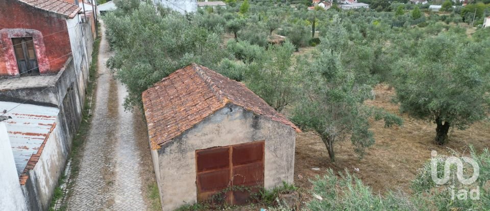 Terrain à bâtir à São Miguel, Santa Eufémia e Rabaçal de 3 186 m²