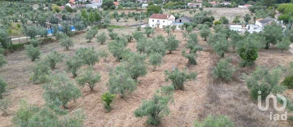 Terrain à bâtir à São Miguel, Santa Eufémia e Rabaçal de 3 186 m²