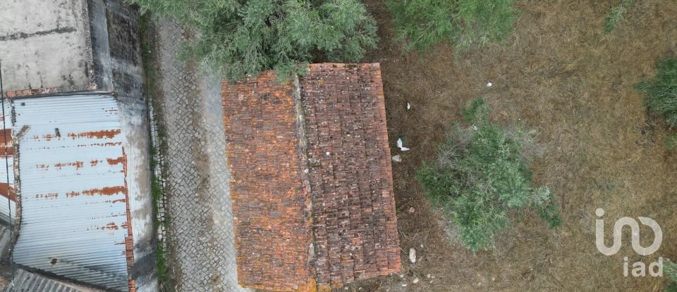 Terrain à bâtir à São Miguel, Santa Eufémia e Rabaçal de 3 186 m²