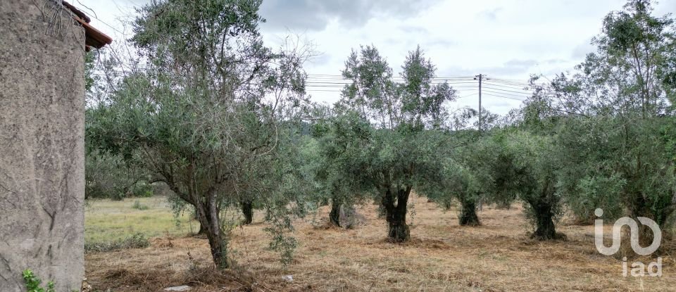 Terrain à bâtir à São Miguel, Santa Eufémia e Rabaçal de 3 186 m²