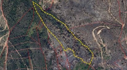 Terrain à Monchique de 21 984 m²