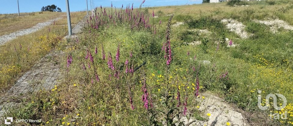 Building plot in Fonte Arcada E Oliveira of 507 m²