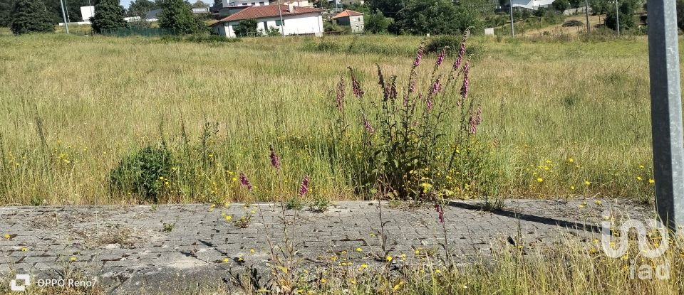 Building plot in Fonte Arcada E Oliveira of 507 m²