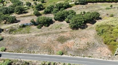 Terrain à Alcobertas de 3 080 m²