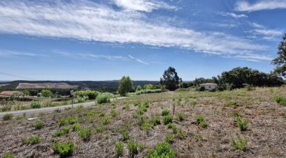 Terrain à Alcobertas de 3 080 m²