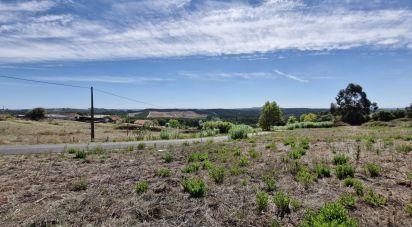 Terrain à Alcobertas de 3 080 m²