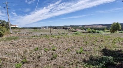 Terrain à Alcobertas de 3 080 m²