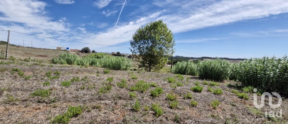 Terrain à Alcobertas de 3 080 m²