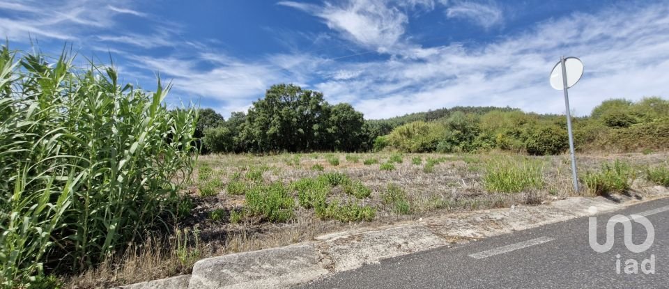 Terrain à Alcobertas de 3 080 m²