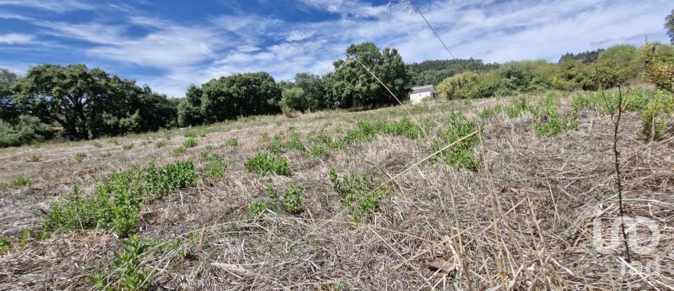 Terrain à Alcobertas de 3 080 m²