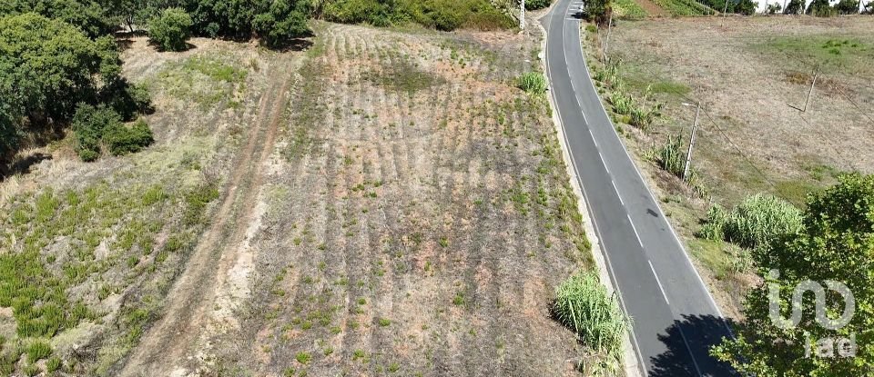 Terrain à Alcobertas de 3 080 m²