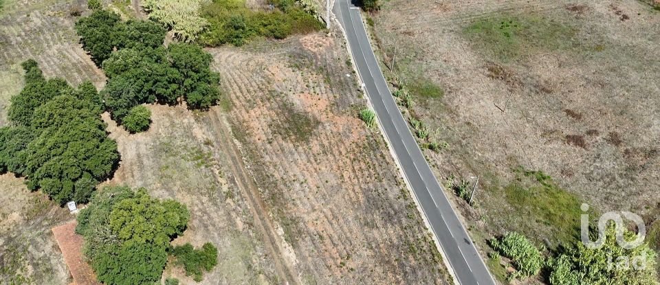 Terrain à Alcobertas de 3 080 m²