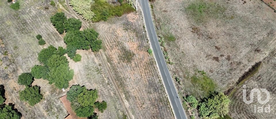 Terrain à Alcobertas de 3 080 m²