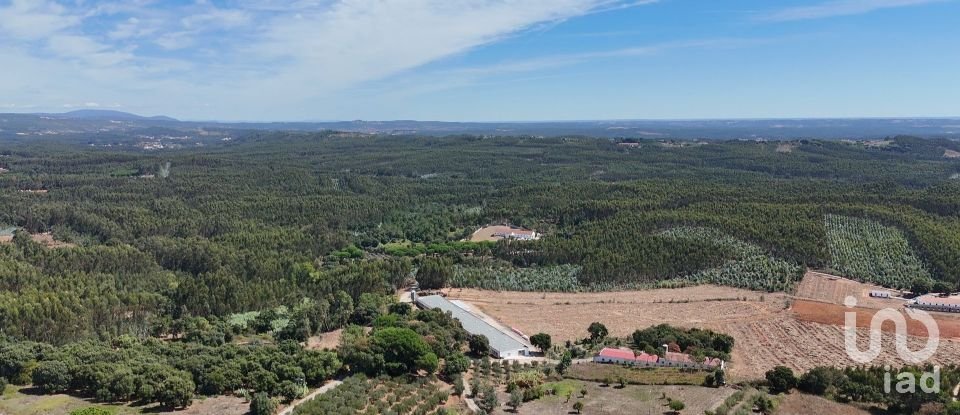 Terrain à Alcobertas de 3 080 m²