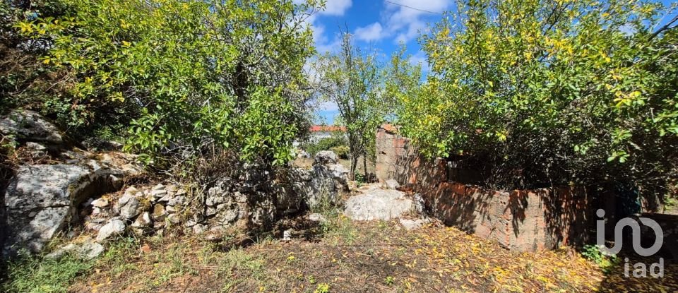 Moradia T3 em Alvados e Alcaria de 76 m²