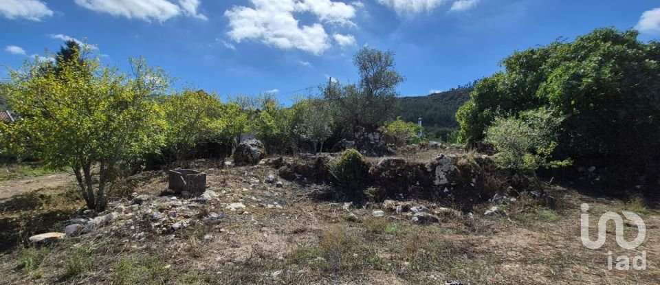 Moradia T3 em Alvados e Alcaria de 76 m²