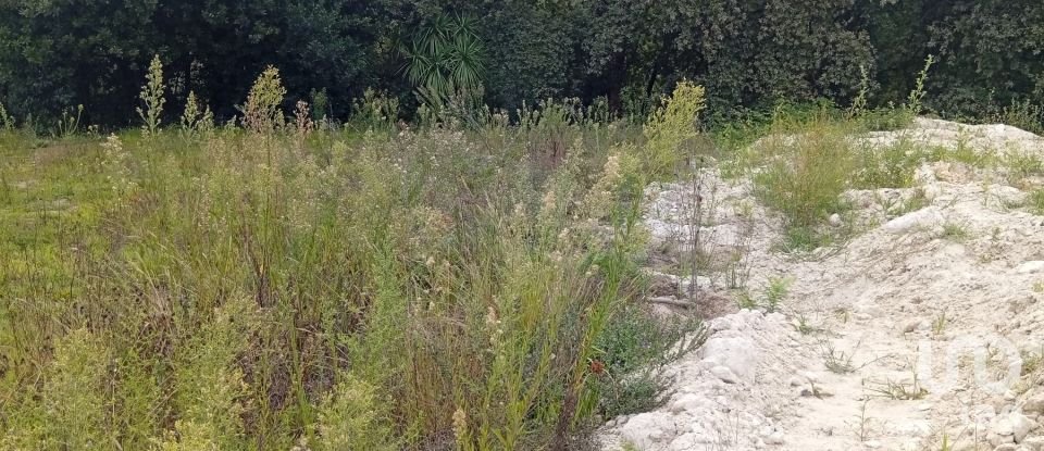 Land in Barcelos, Vila Boa e Vila Frescainha (São Martinho e São Pedro) of 650 m²