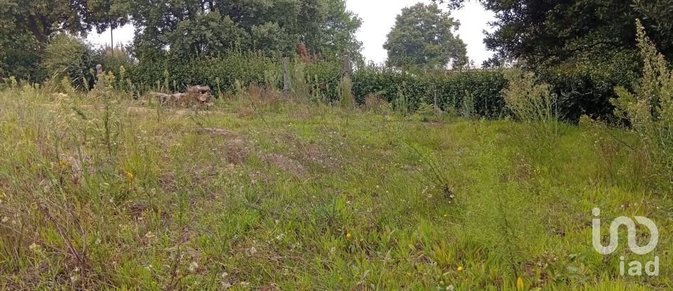 Land in Barcelos, Vila Boa e Vila Frescainha (São Martinho e São Pedro) of 650 m²
