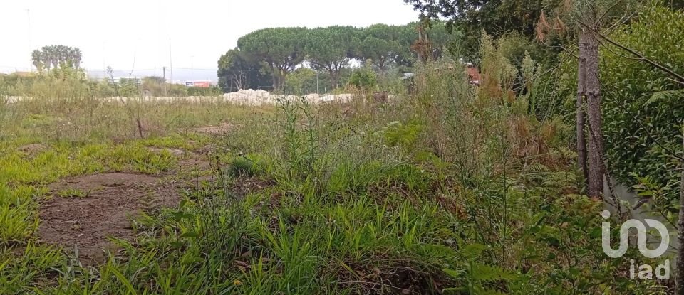 Land in Barcelos, Vila Boa e Vila Frescainha (São Martinho e São Pedro) of 650 m²