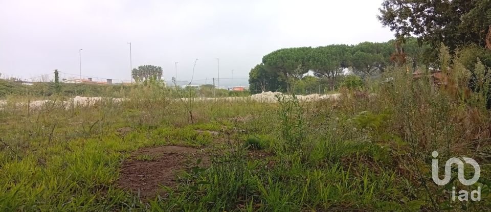 Land in Barcelos, Vila Boa e Vila Frescainha (São Martinho e São Pedro) of 650 m²