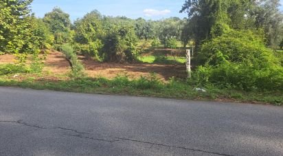 Terrain à Dossãos de 1 740 m²